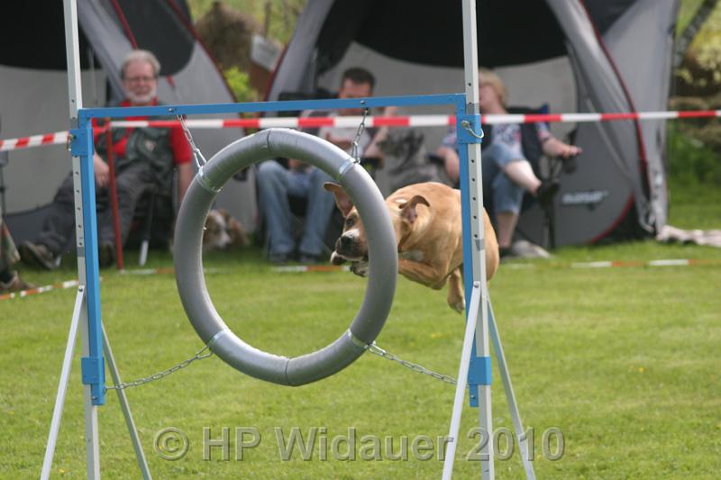 Haag2010 019.jpg